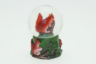 Obrázek z Sněžítko veverka 6,5cm (6) 